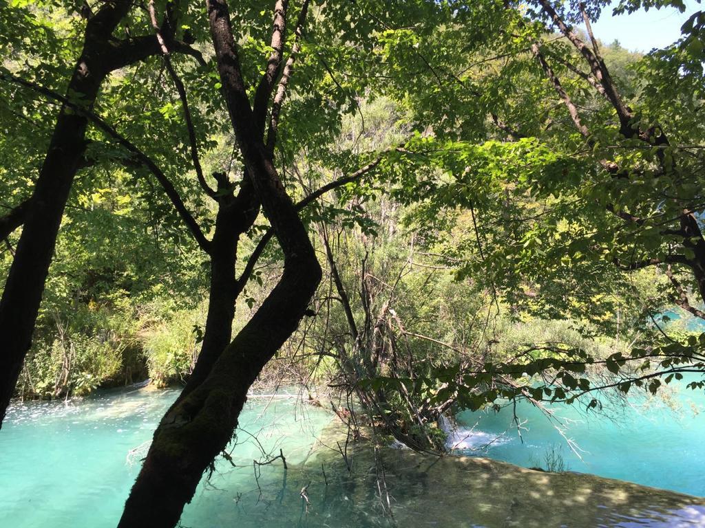 Pool Apartments Plitvice Lakes 그라보바츠 외부 사진